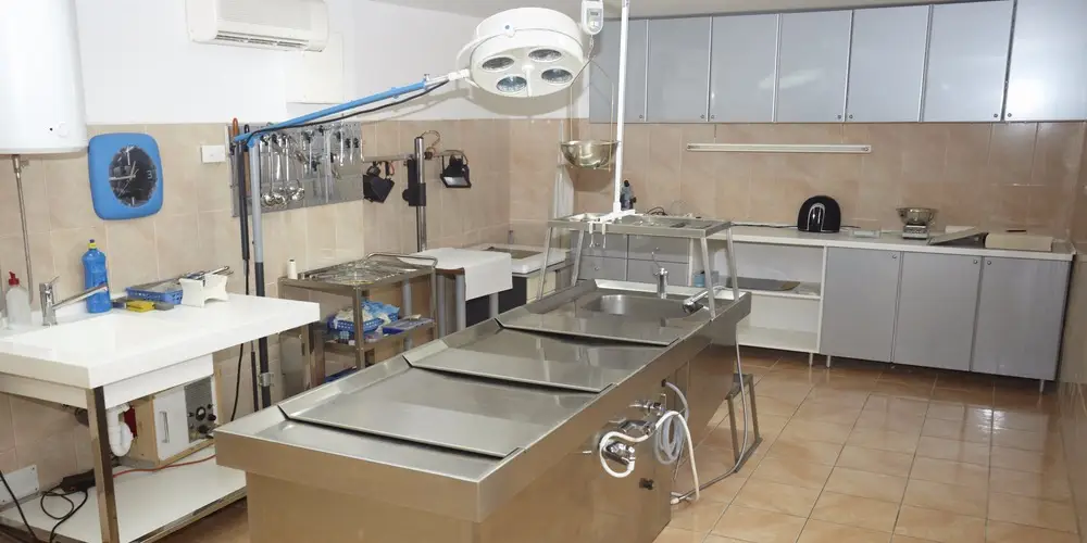 Embalming Services (Standard)