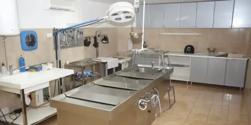 Embalming Services